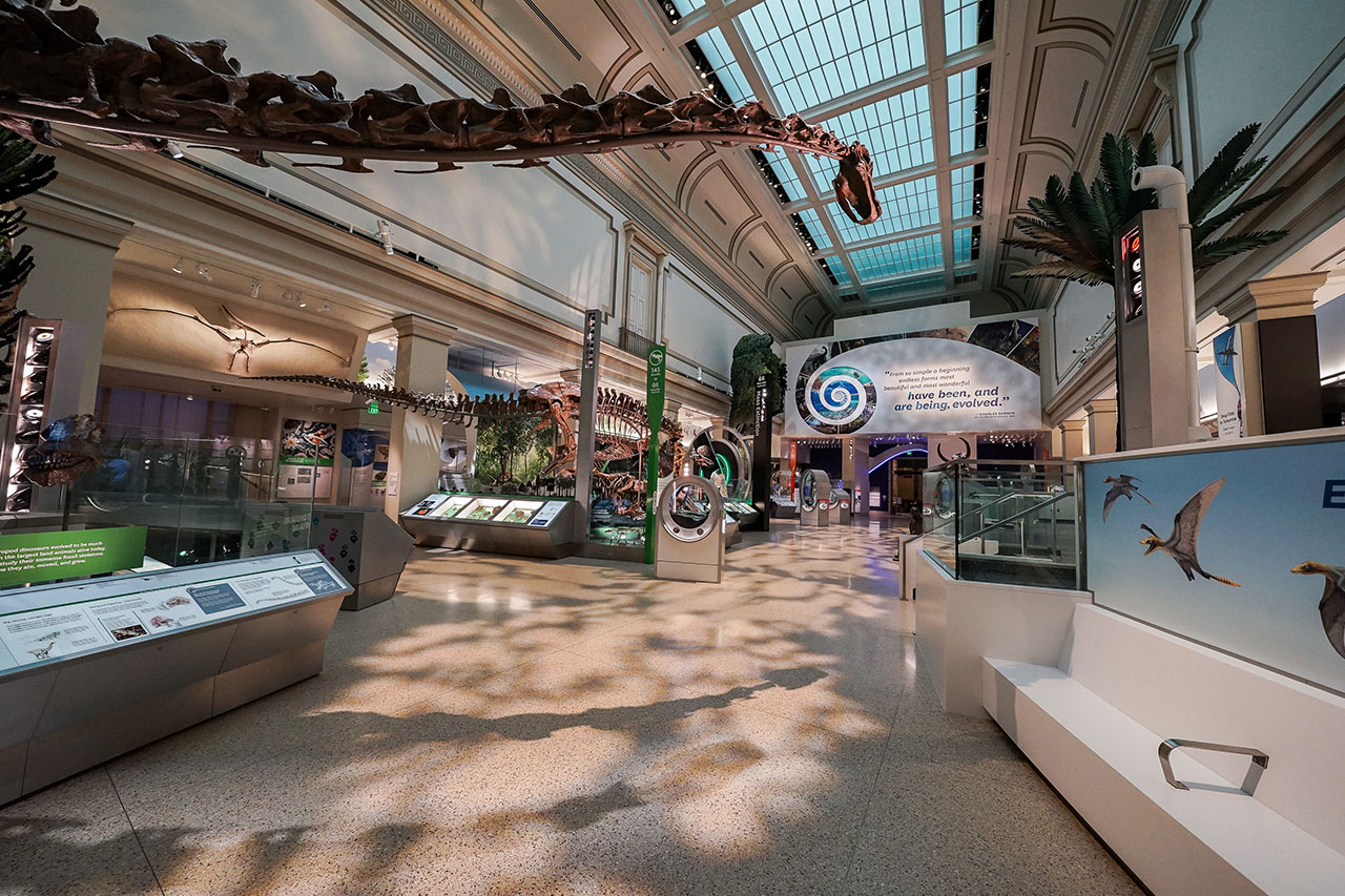 Smithsonian National Museum of Natural History’s newest permanent exhibit